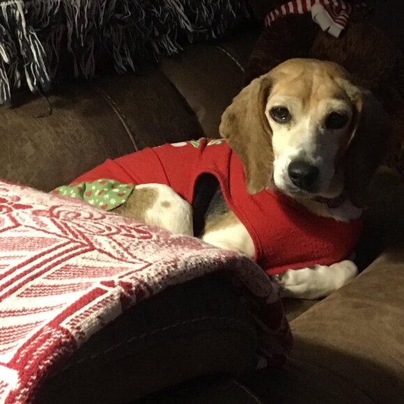 Meet your Posher, Carrie - Picture 9 of 13